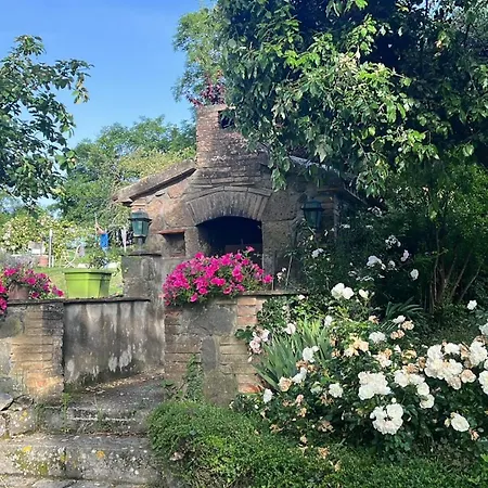 Villa Panoramic With Pool-collinablu Bolsena